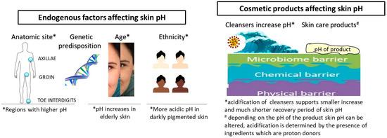 How endogenous factors and cosmetics affect skin pH.
